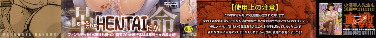 Mesubuta Kakumei page 3 full