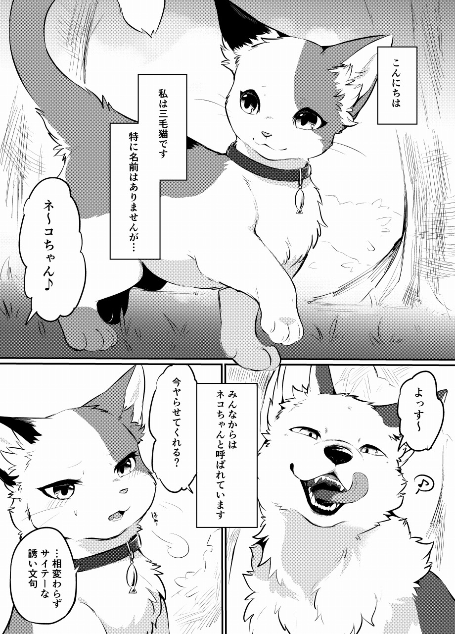 -  【けもケット10】すきものどうし【新刊サンプル】+ Sketches / Extras page 10 full