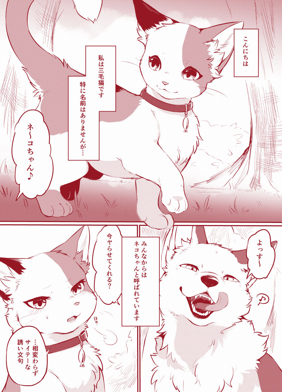 -  【けもケット10】すきものどうし【新刊サンプル】+ Sketches / Extras page 3 full