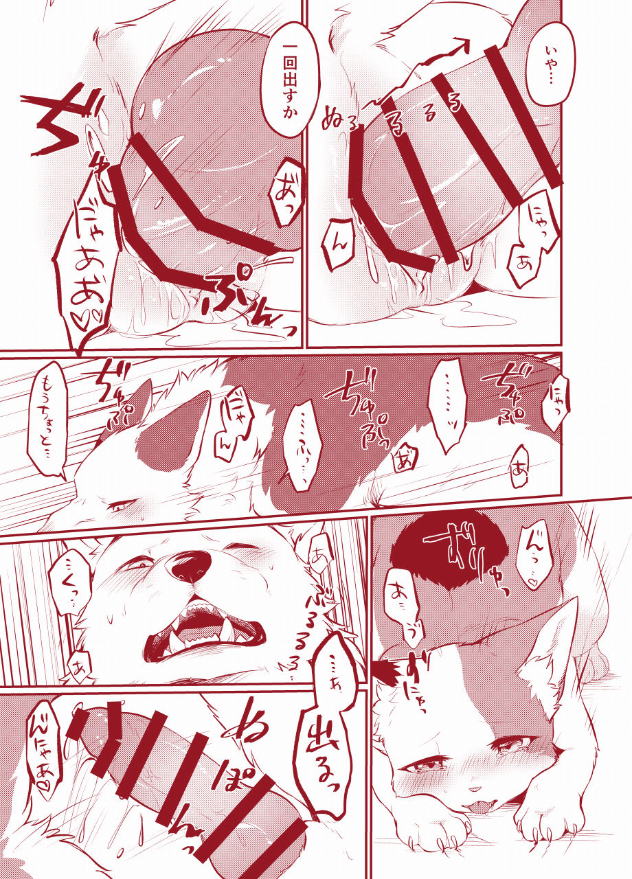 -  【けもケット10】すきものどうし【新刊サンプル】+ Sketches / Extras page 6 full