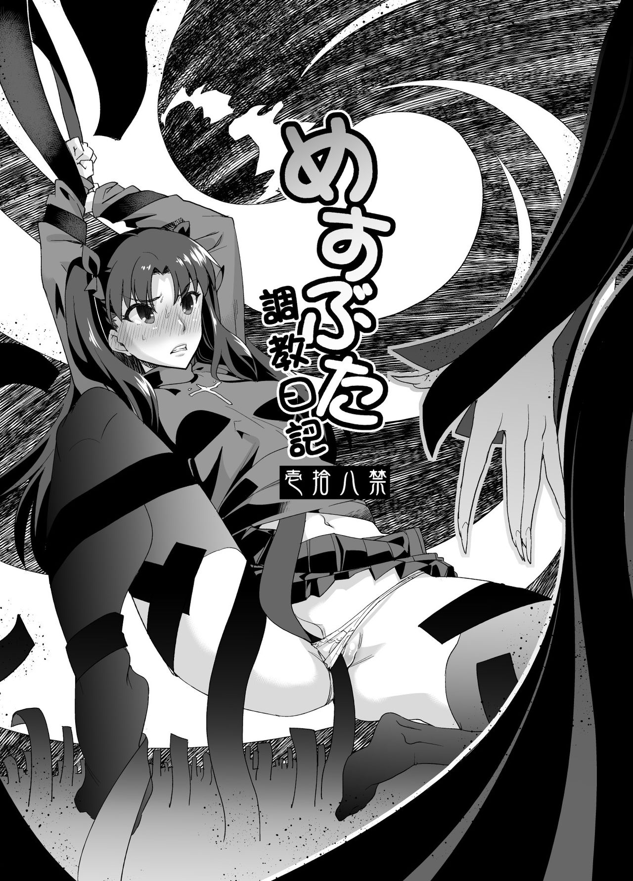 Mesubuta Choukyou Nikki page 1 full