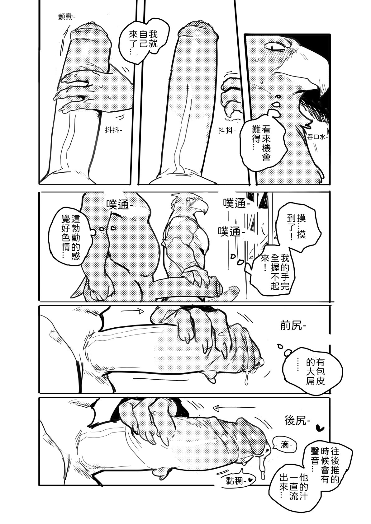 Pelican and White-tailed Eagle 鵜鶘和白尾鷹 page 7 full