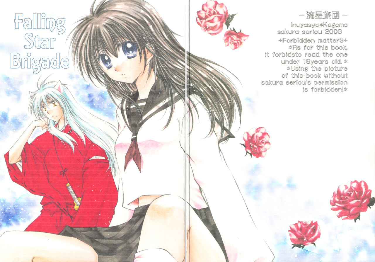 Ryuusei Ryodan | Falling Star Brigade page 2 full