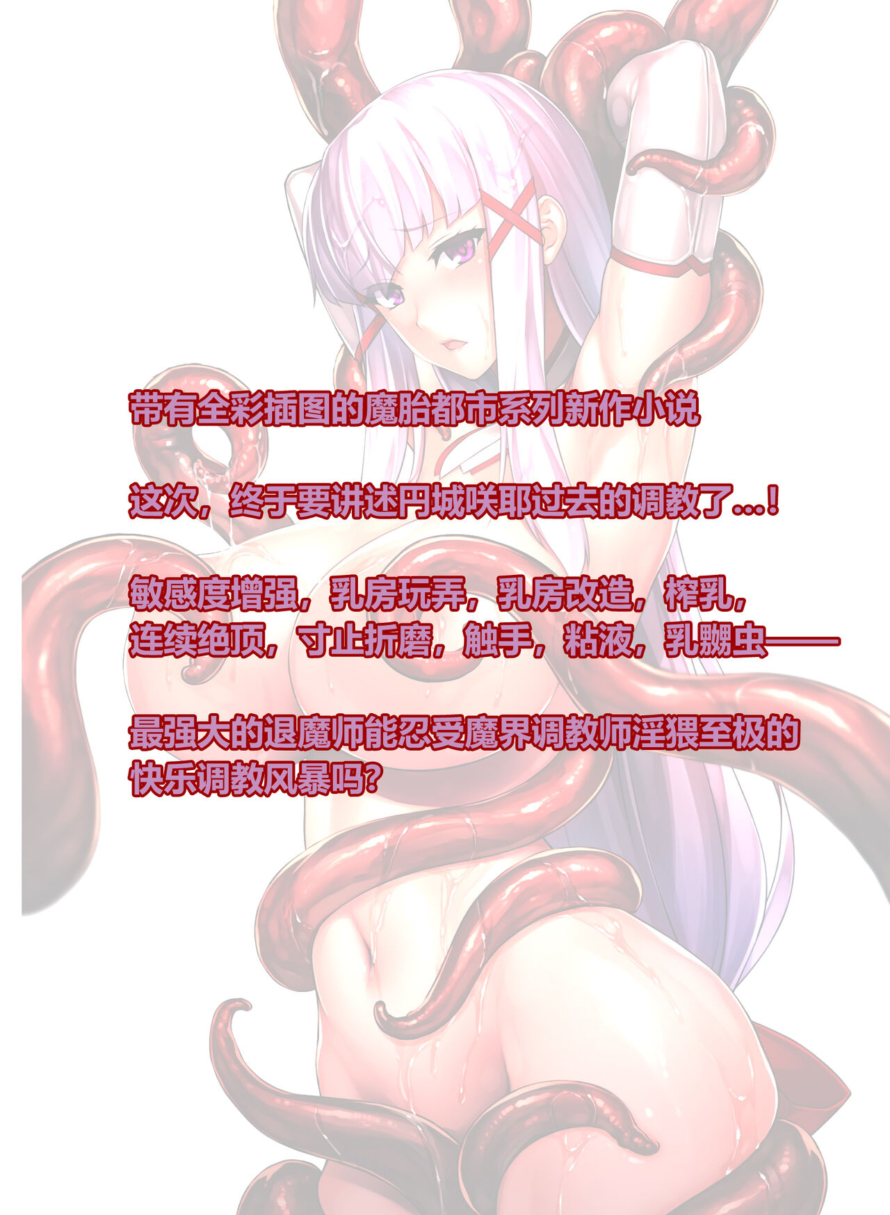 Matai Toshi Xth Sakuya Chronicle page 2 full