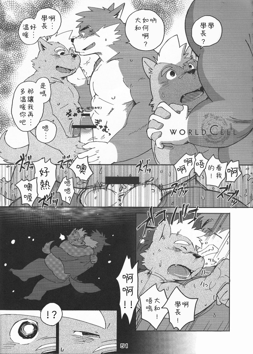 World Cell page 2 full