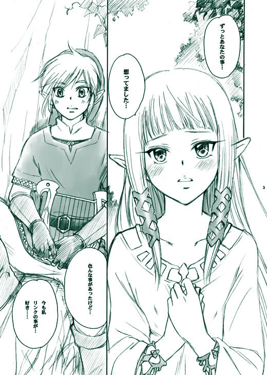 Erosou de Eroku nai Sukoshi Eroi Zelda page 3 full