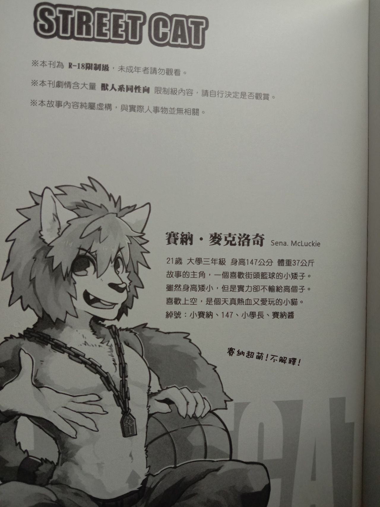 Street Cat page 1 full