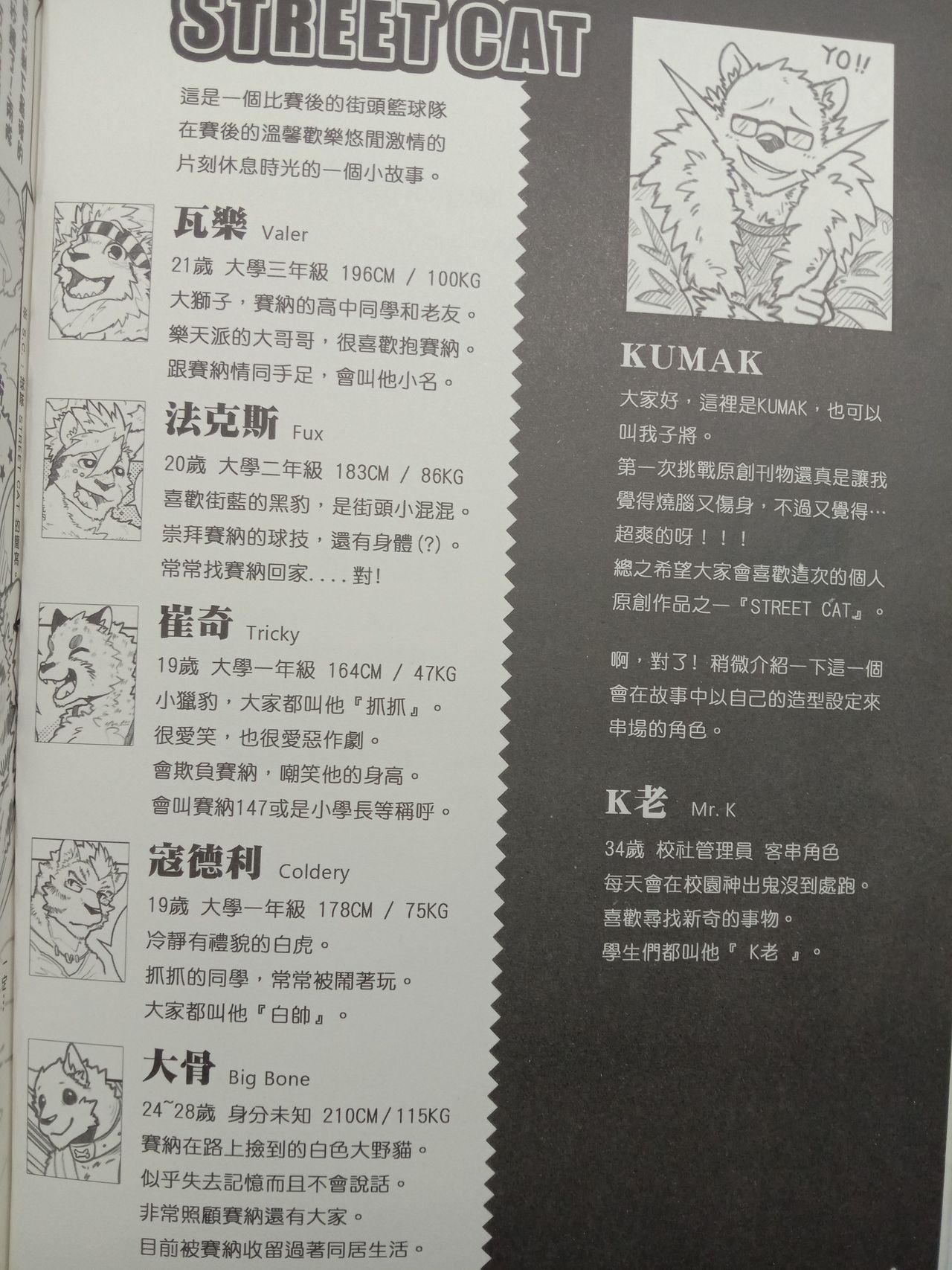 Street Cat page 2 full