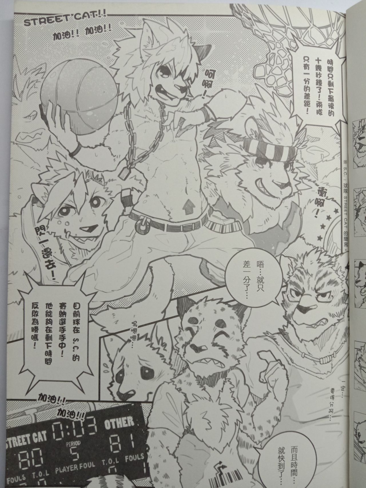 Street Cat page 3 full