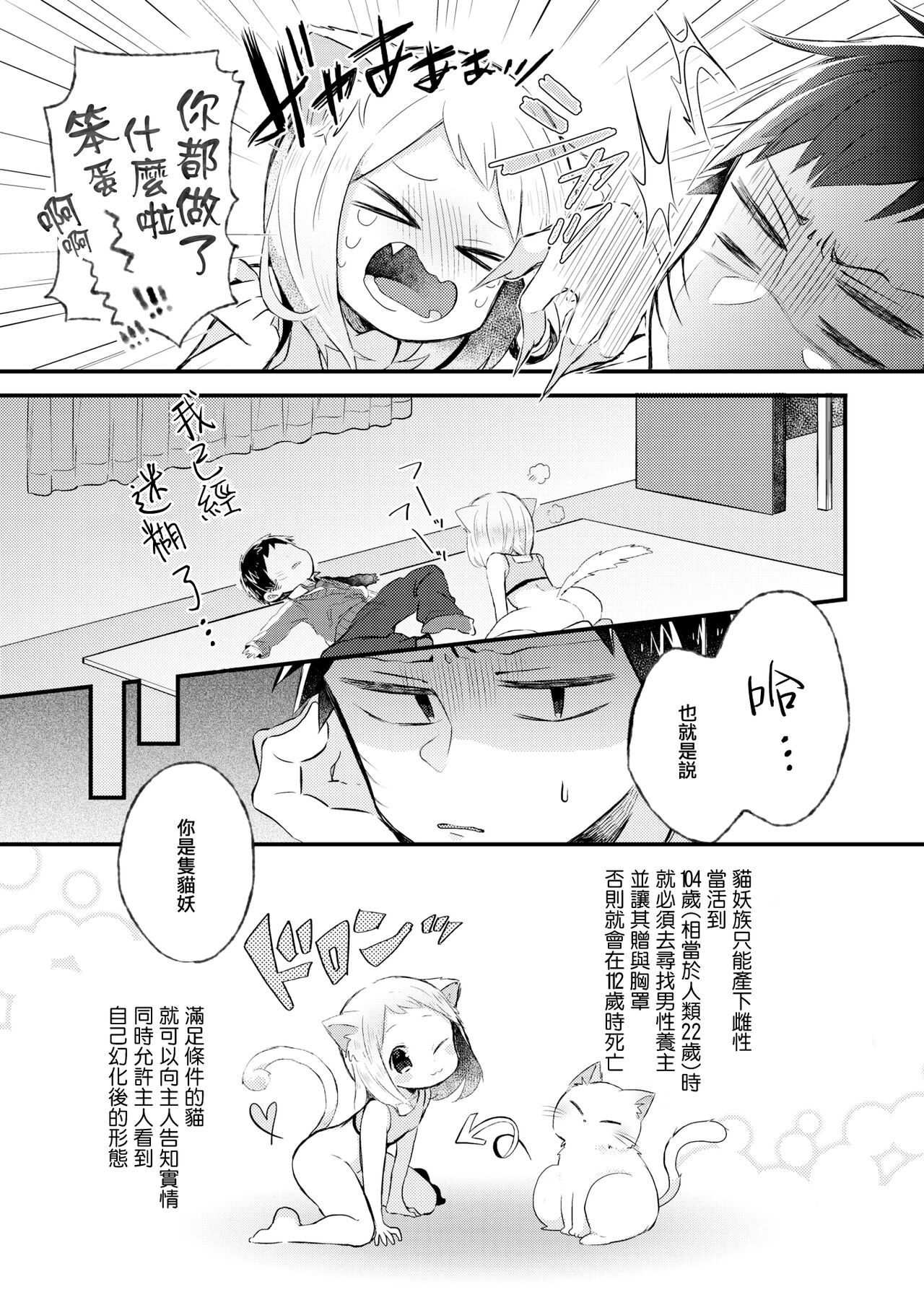 Nyan toka Shite yo!! page 5 full