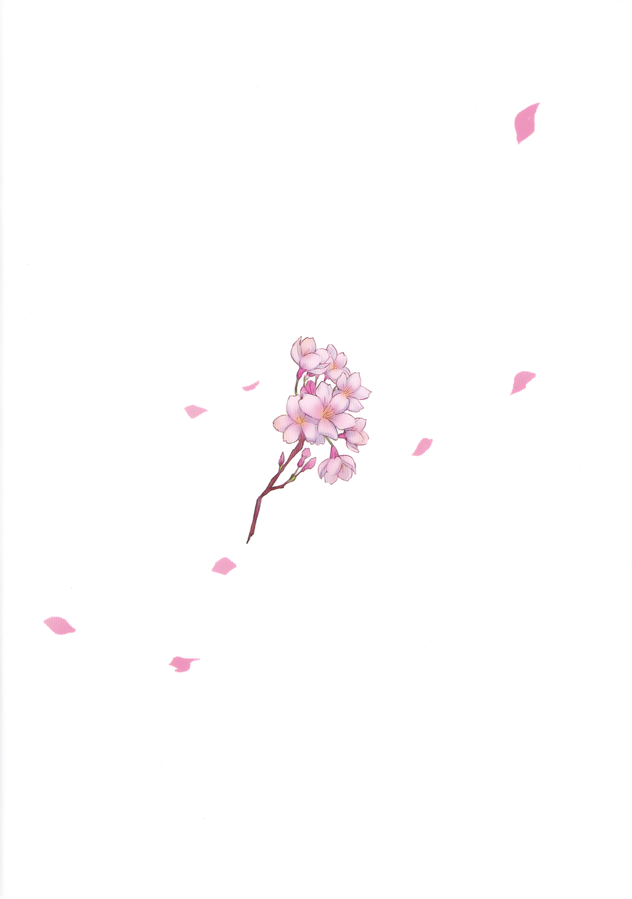 Irui Konintan Gaiden page 2 full