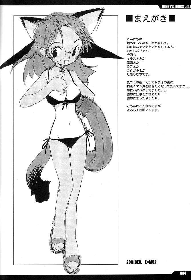 JUNKY'S JUNKS Vol. 6 page 3 full