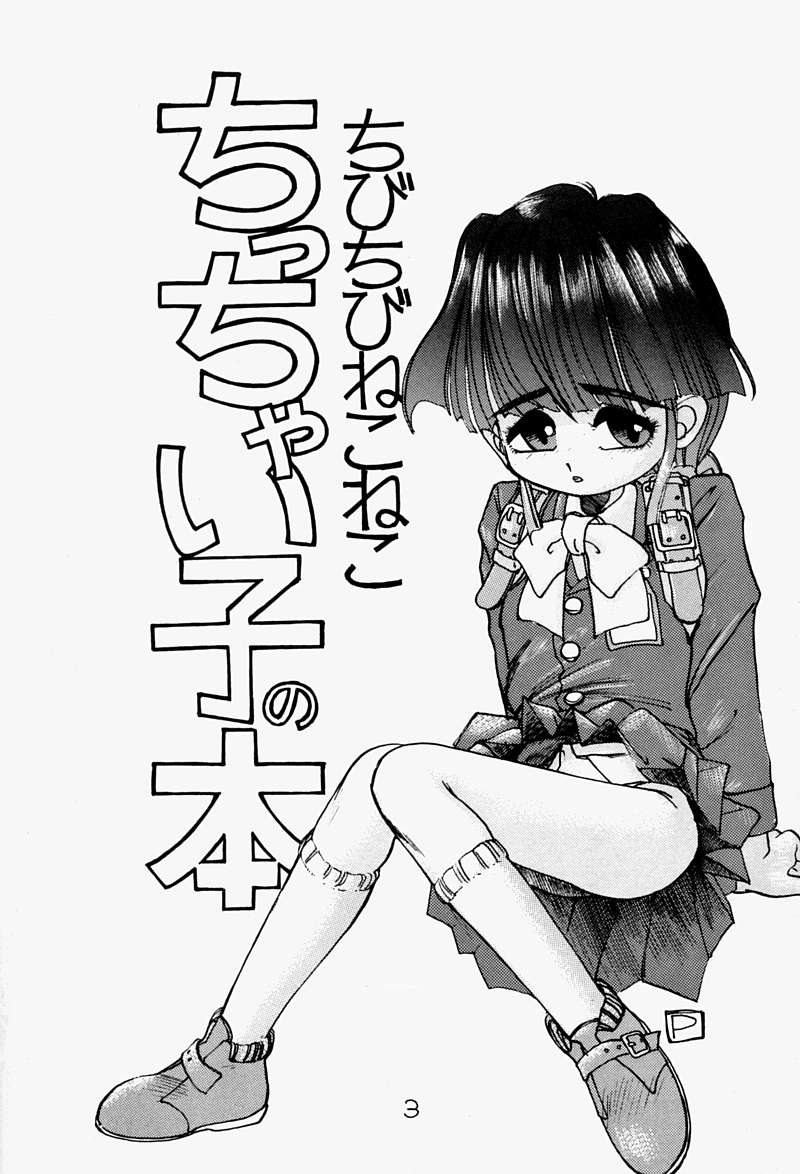 Chicchai No Hon page 2 full