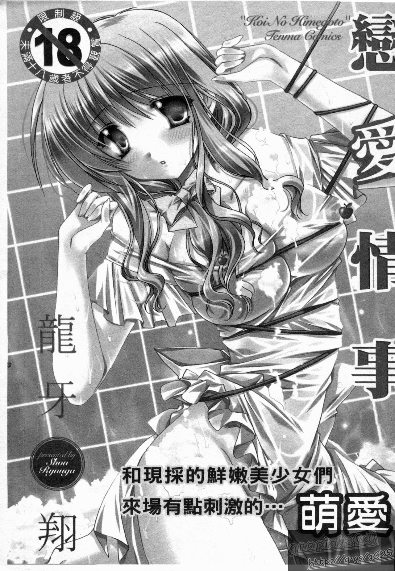 Koi no Himegoto | 戀愛情事 page 3 full