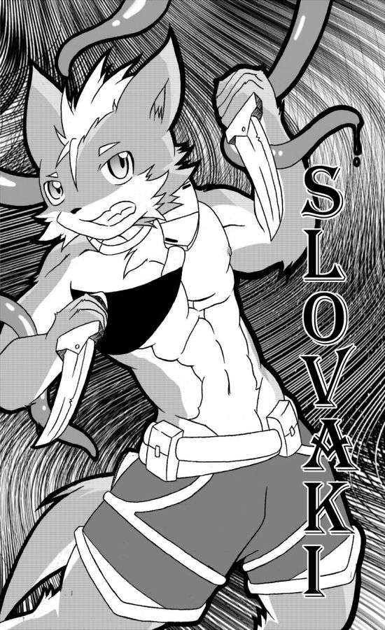 Slovakia page 1 full