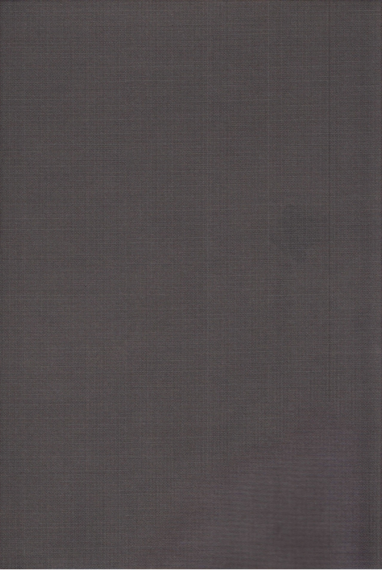 BiriBiri Shock! page 4 full