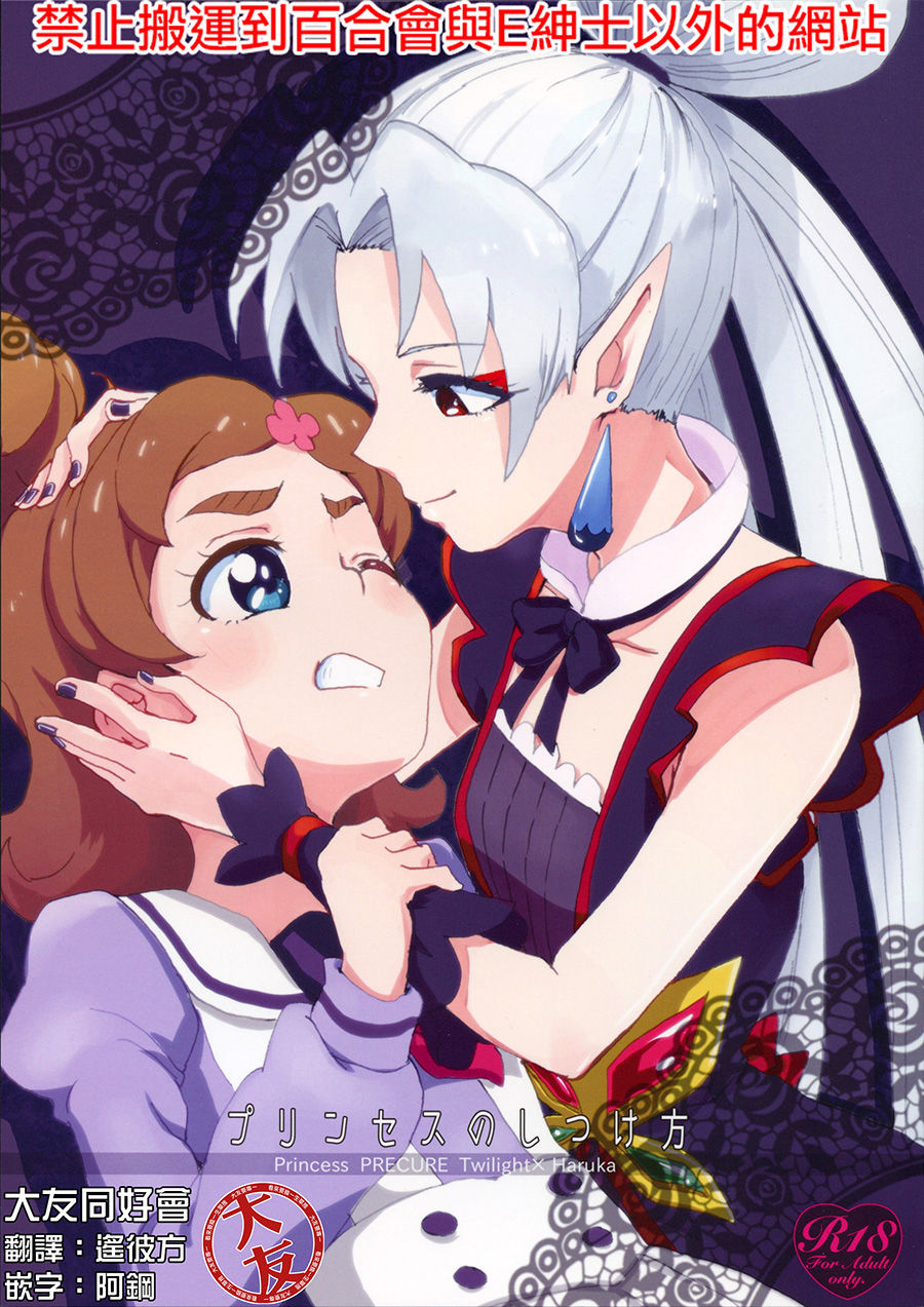 Princess no Shitsukekata page 1 full