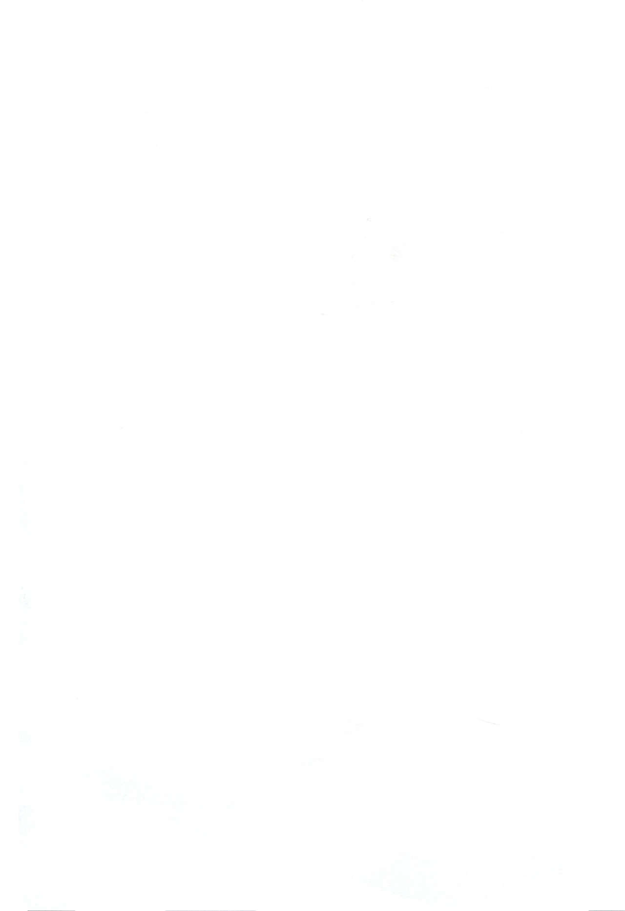 NettoRinko page 4 full