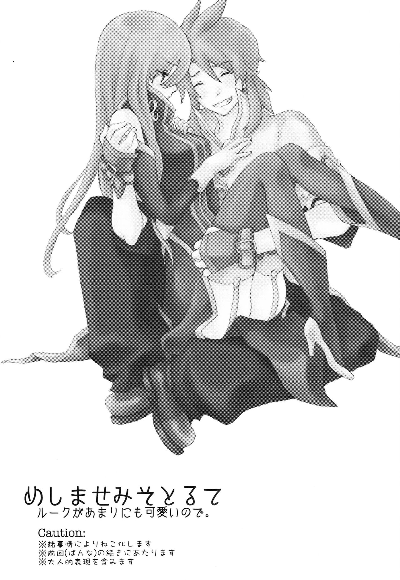 Meshimase Miso Torte page 2 full