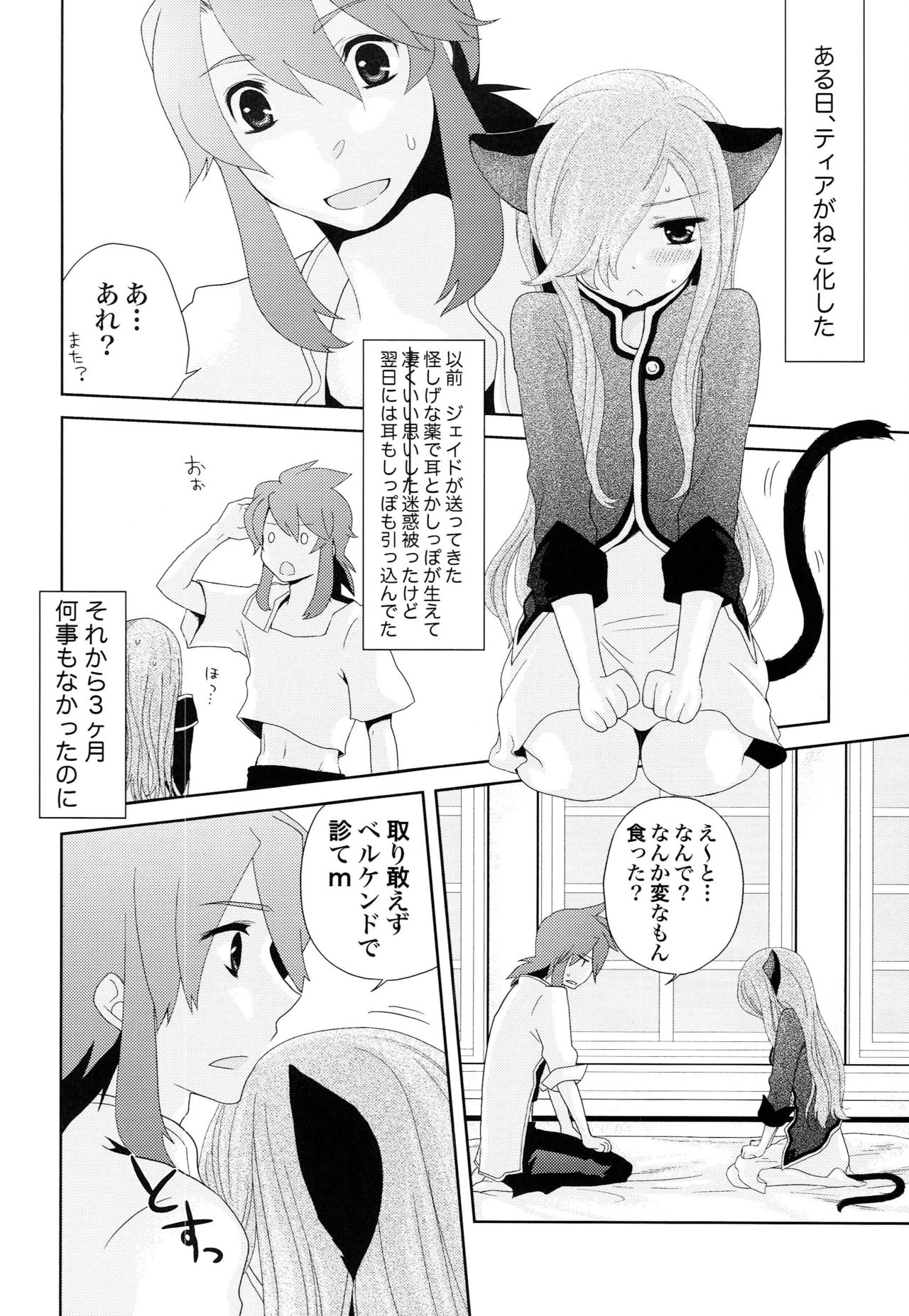 Meshimase Miso Torte page 3 full