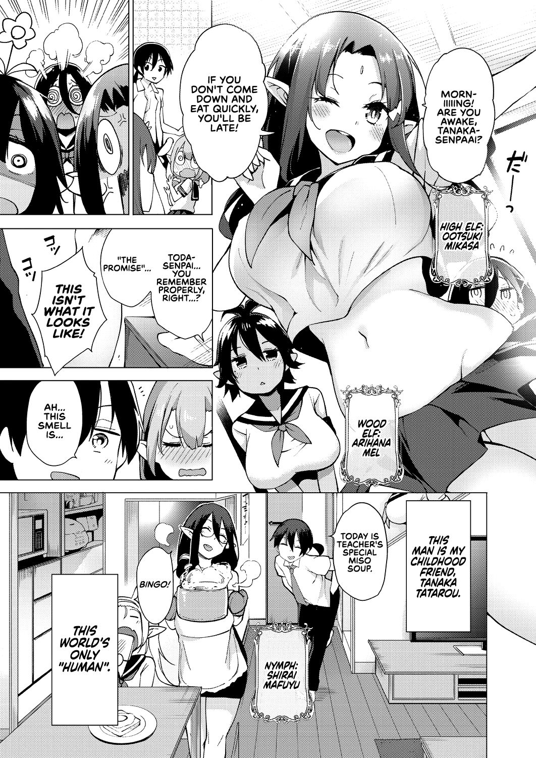 Yousei Harem Daibakuhatsu | Fairy Harem Explosion Ch. 1 page 3 full