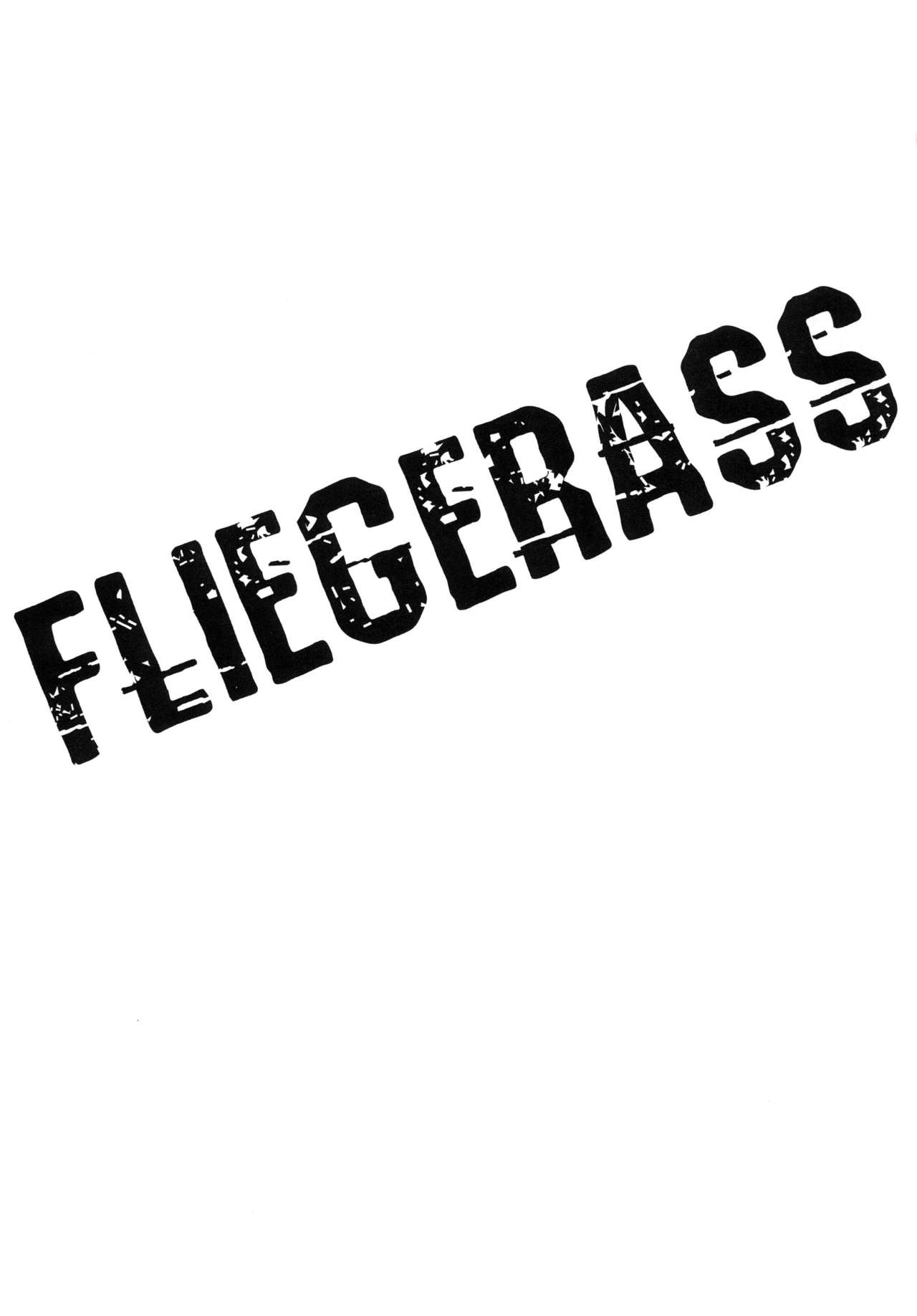 FLIEGERASS page 3 full
