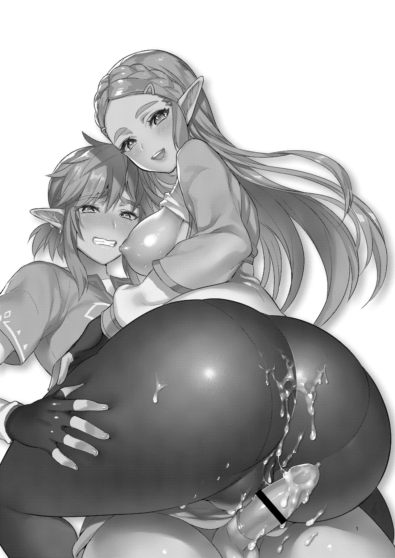 Hyrule Hanei no Tame no Katsudou! | Taking Steps to Ensure Hyrule's Prosperity!   =The Lost Light= page 2 full