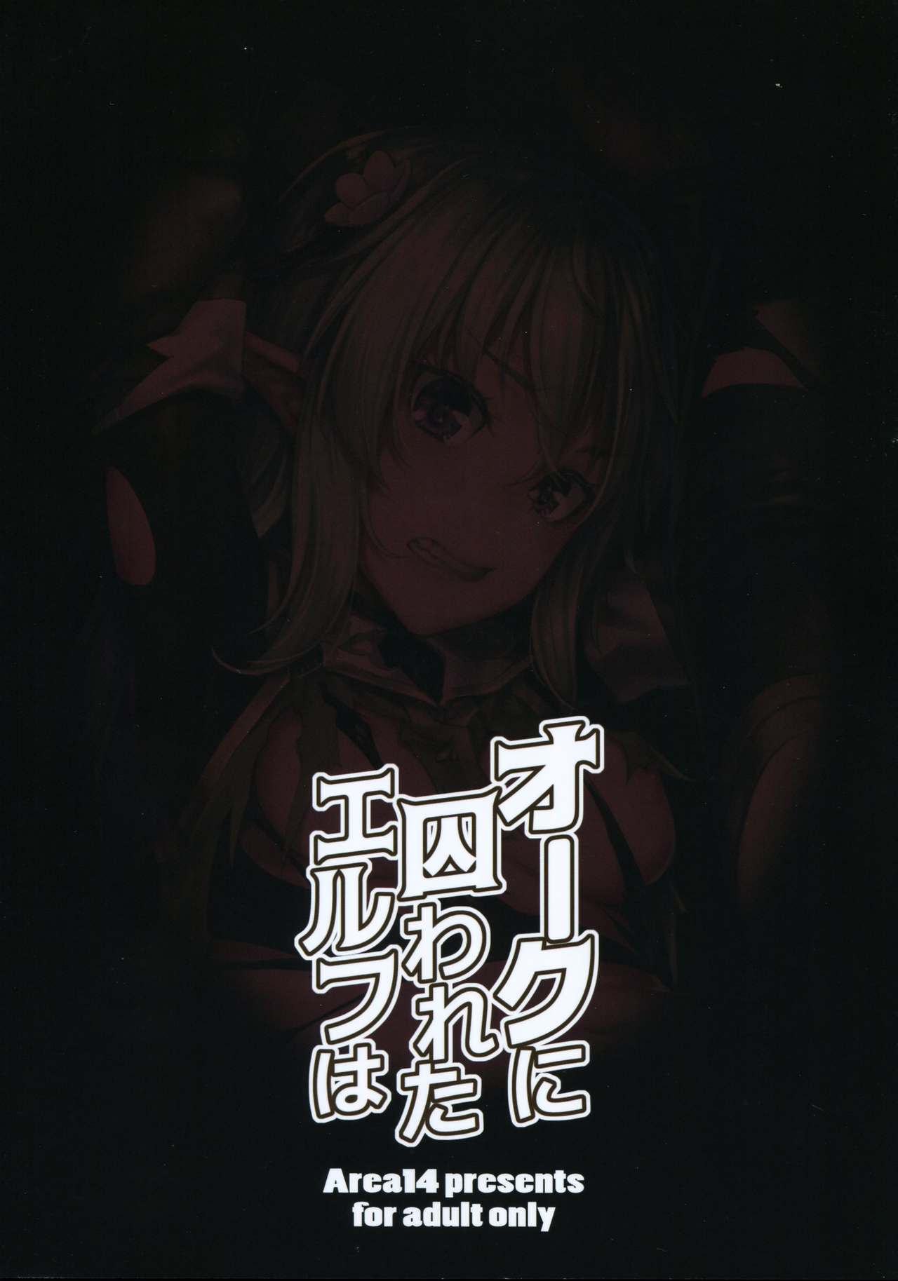 Orc ni Torawareta Elf wa page 3 full