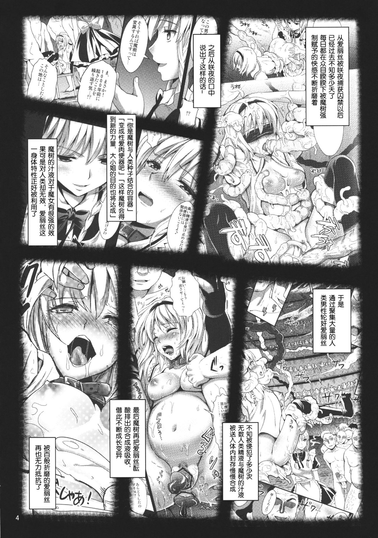 R Shoku 2C -Toraware Alice- page 3 full