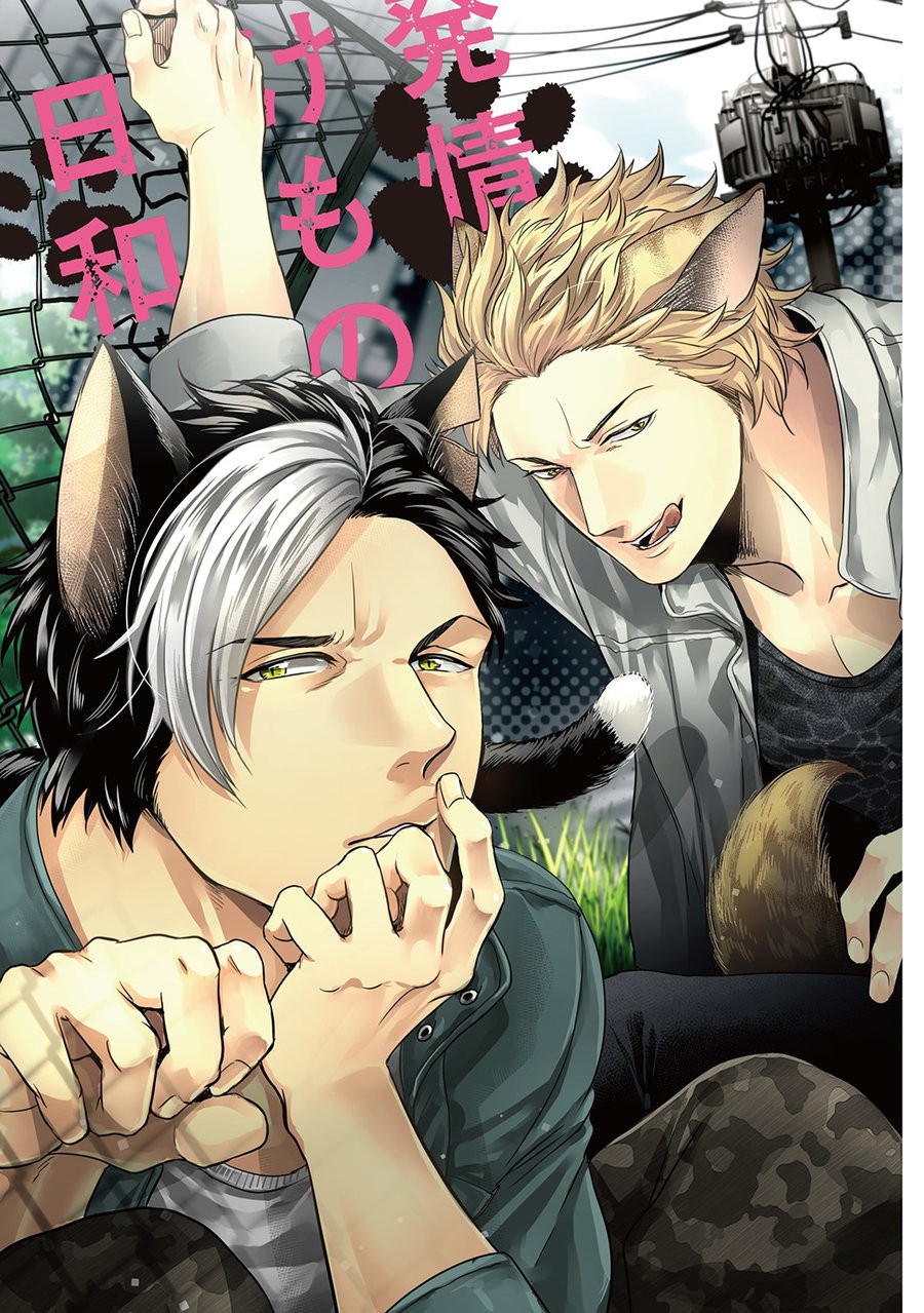 Hatsujou Kemono Biyori page 3 full