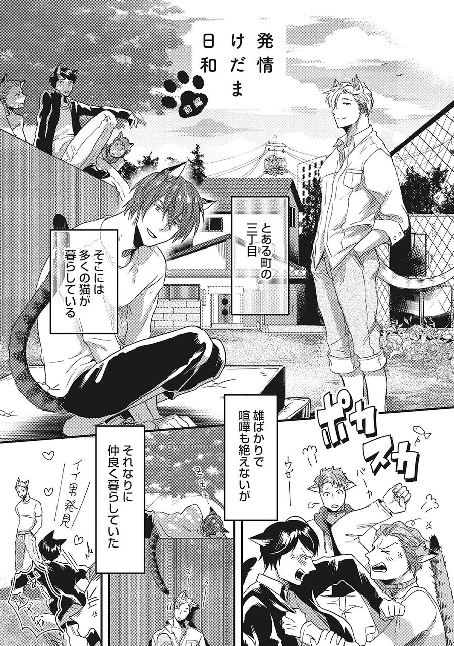 Hatsujou Kemono Biyori page 5 full