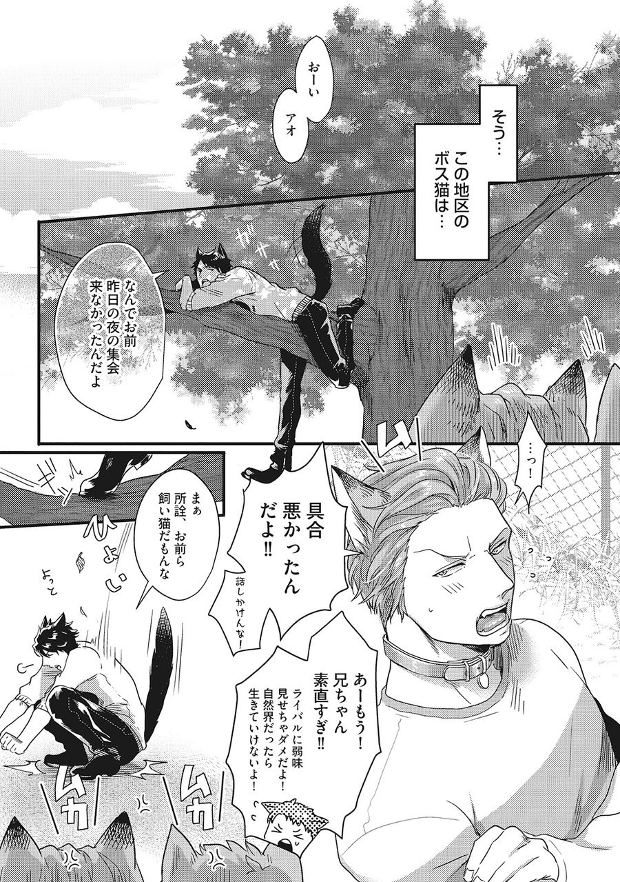 Hatsujou Kemono Biyori page 7 full