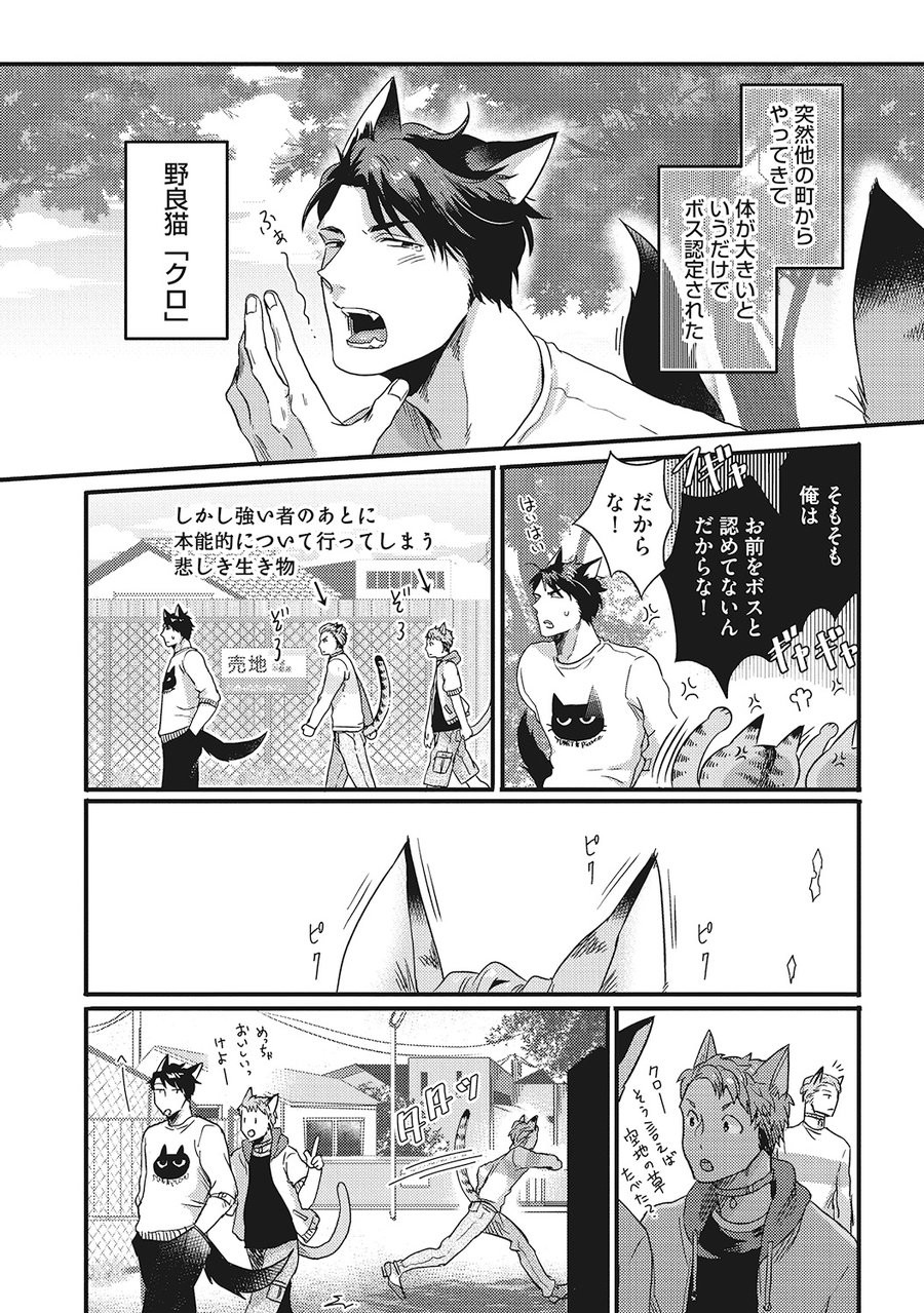 Hatsujou Kemono Biyori page 8 full