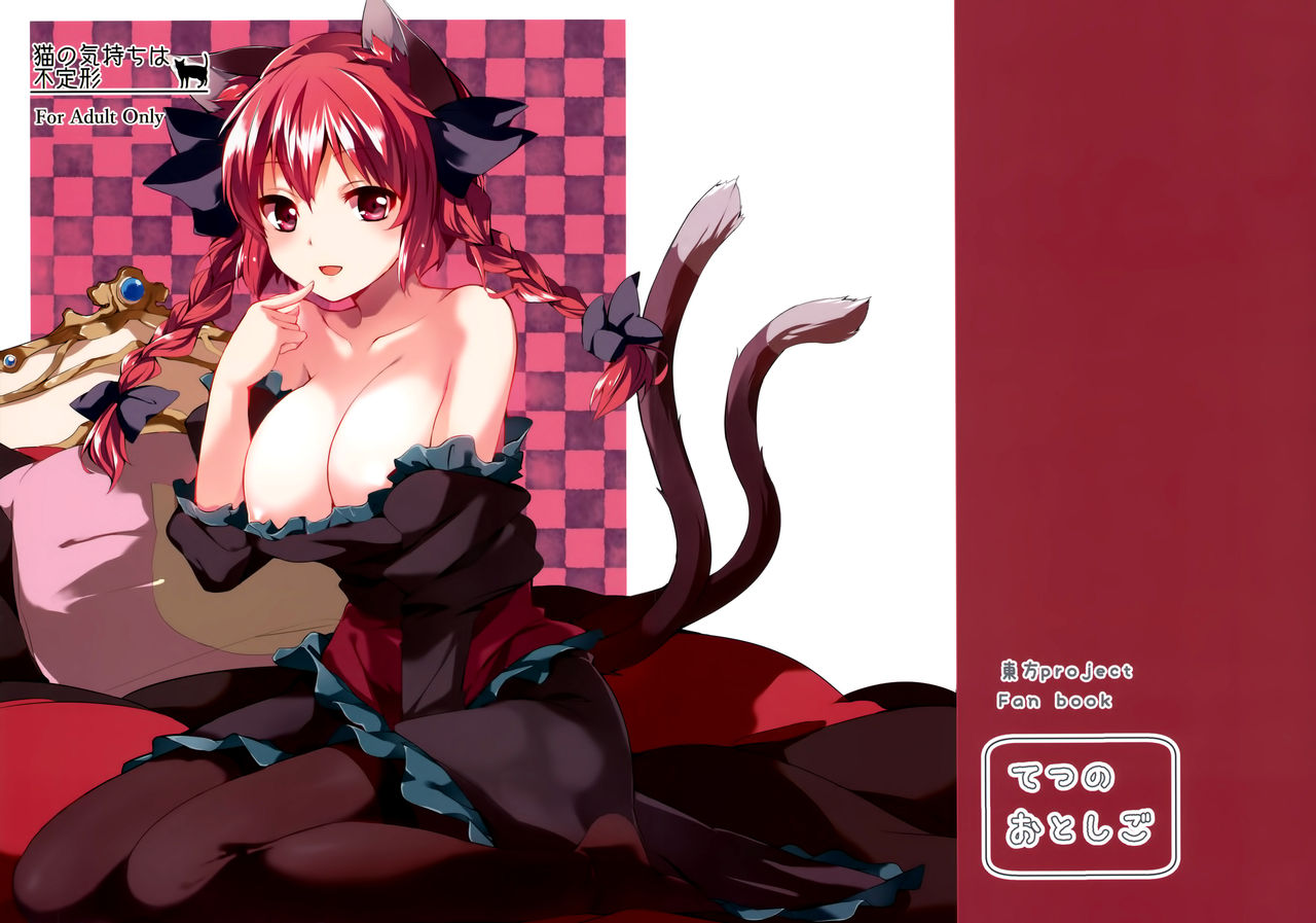 Neko no Kimochi wa Futeikei page 2 full