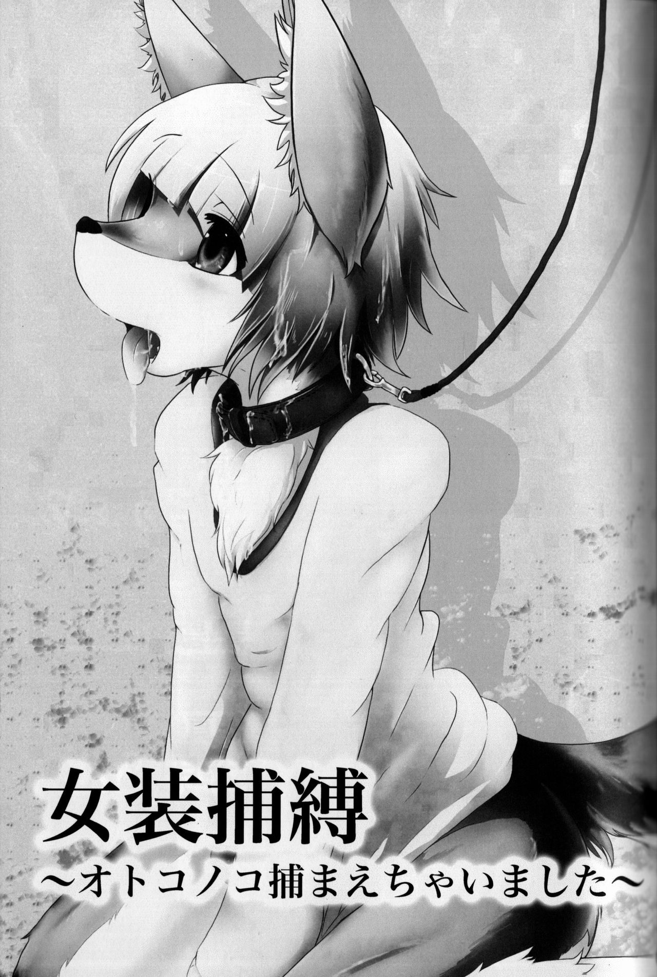 Josou Hobaku | 女装捕縛 page 2 full