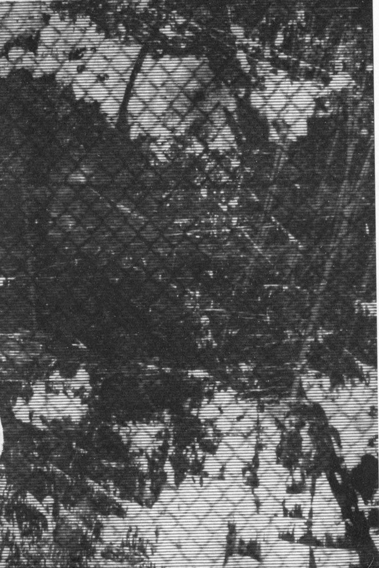 2D Comic Magazine Keimusho de Aegu Onna-tachi page 5 full