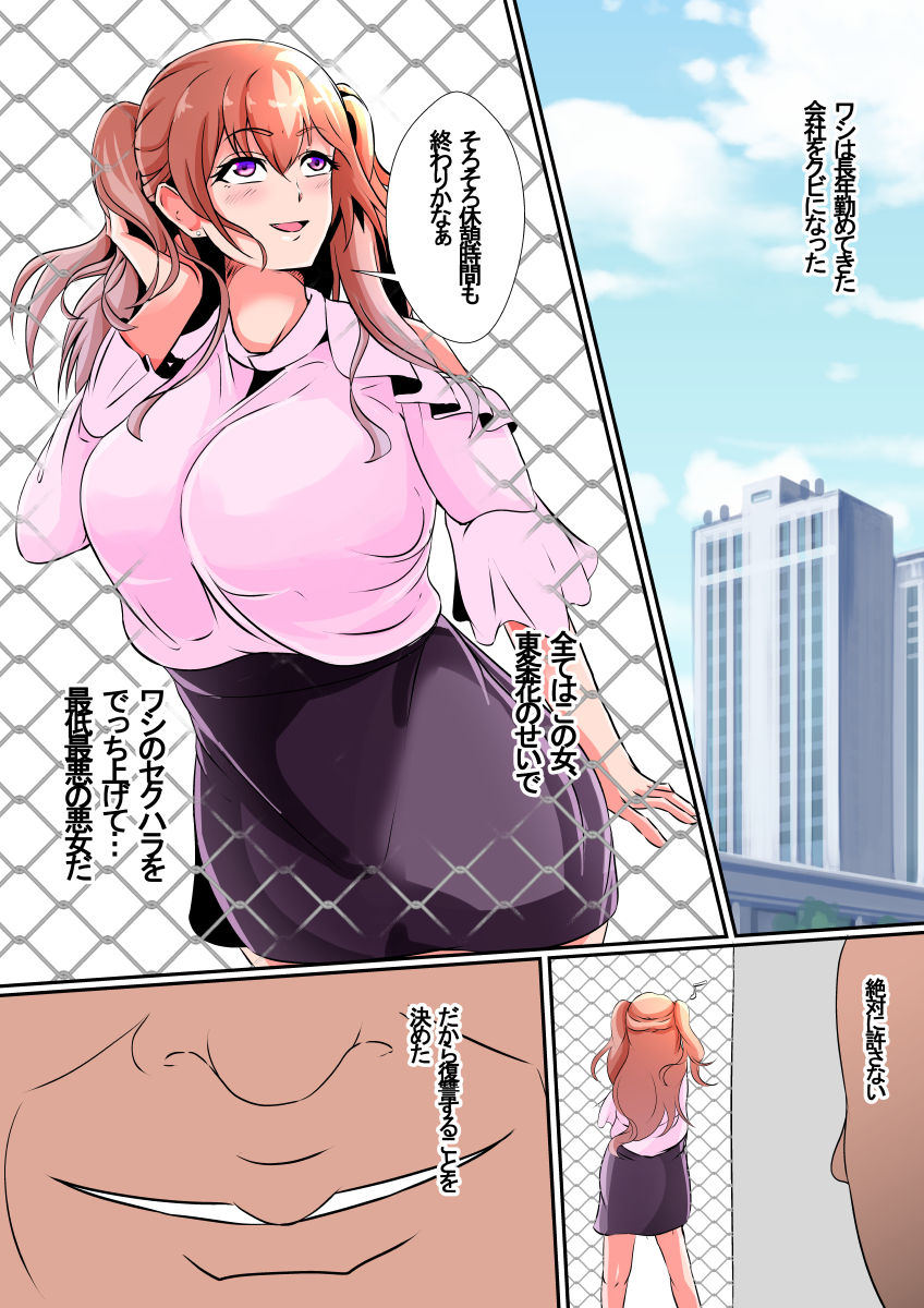 Hika Houfuku page 3 full