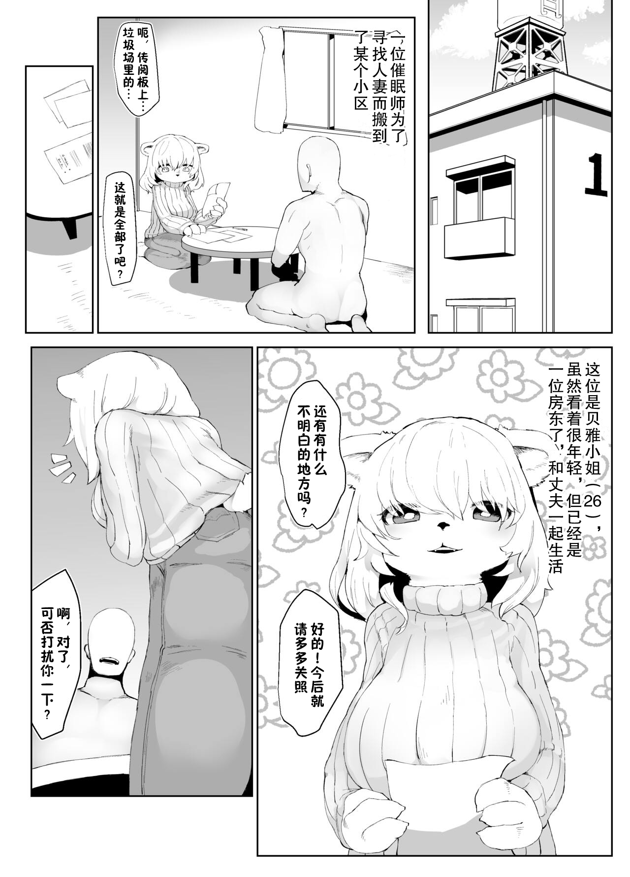 Mesukemo Apartment page 3 full