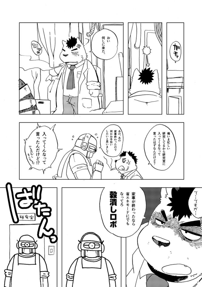 DECOBOCO page 5 full