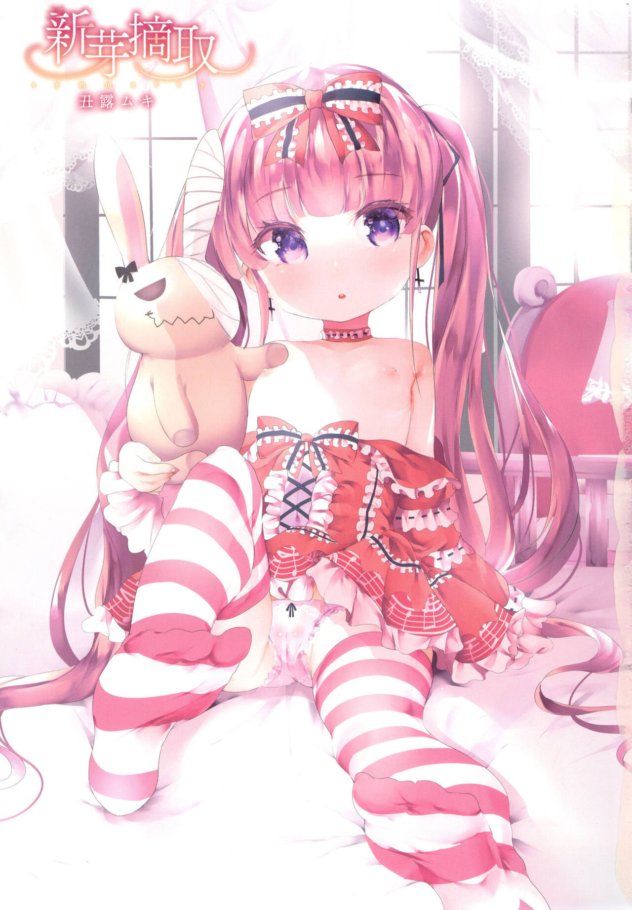 Shinme Tori - symmetry | 新芽摘取 page 5 full