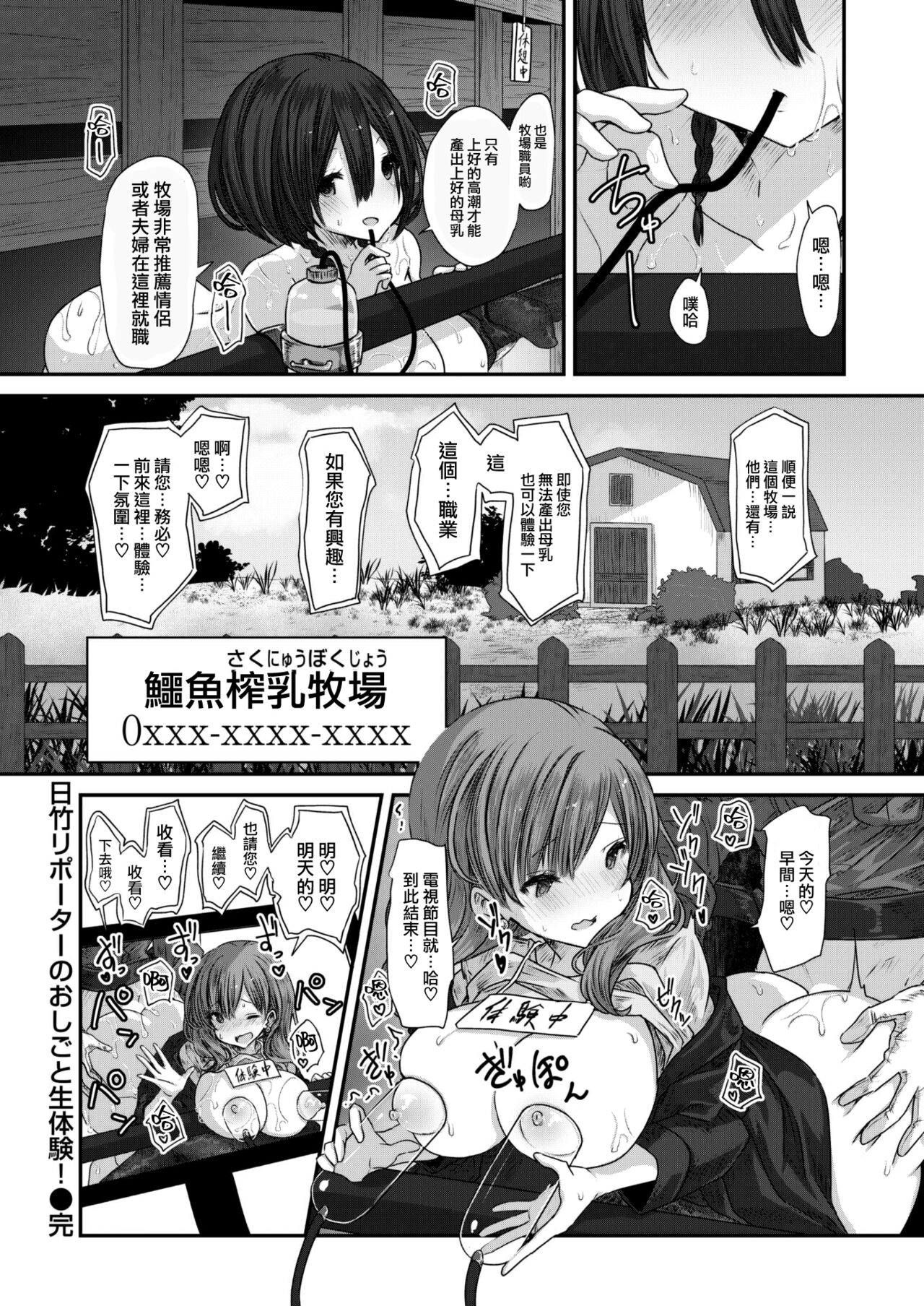 Hitake Reporter no Oshigoto Seitaiken! page 5 full