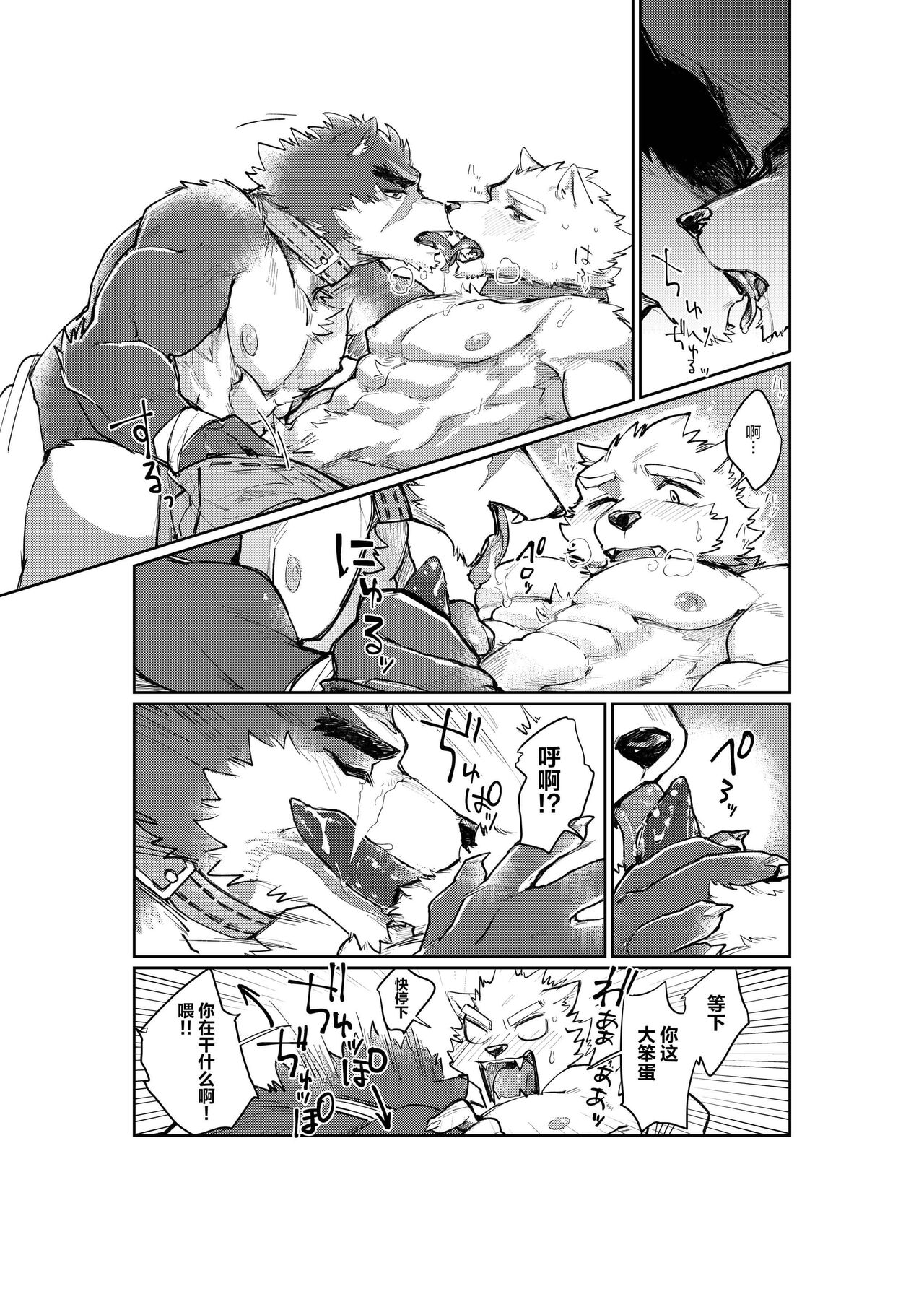 Feru to Raika|菲尔与莱卡 page 9 full