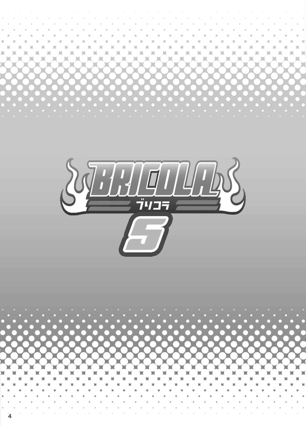 BRICOLA 5 page 3 full