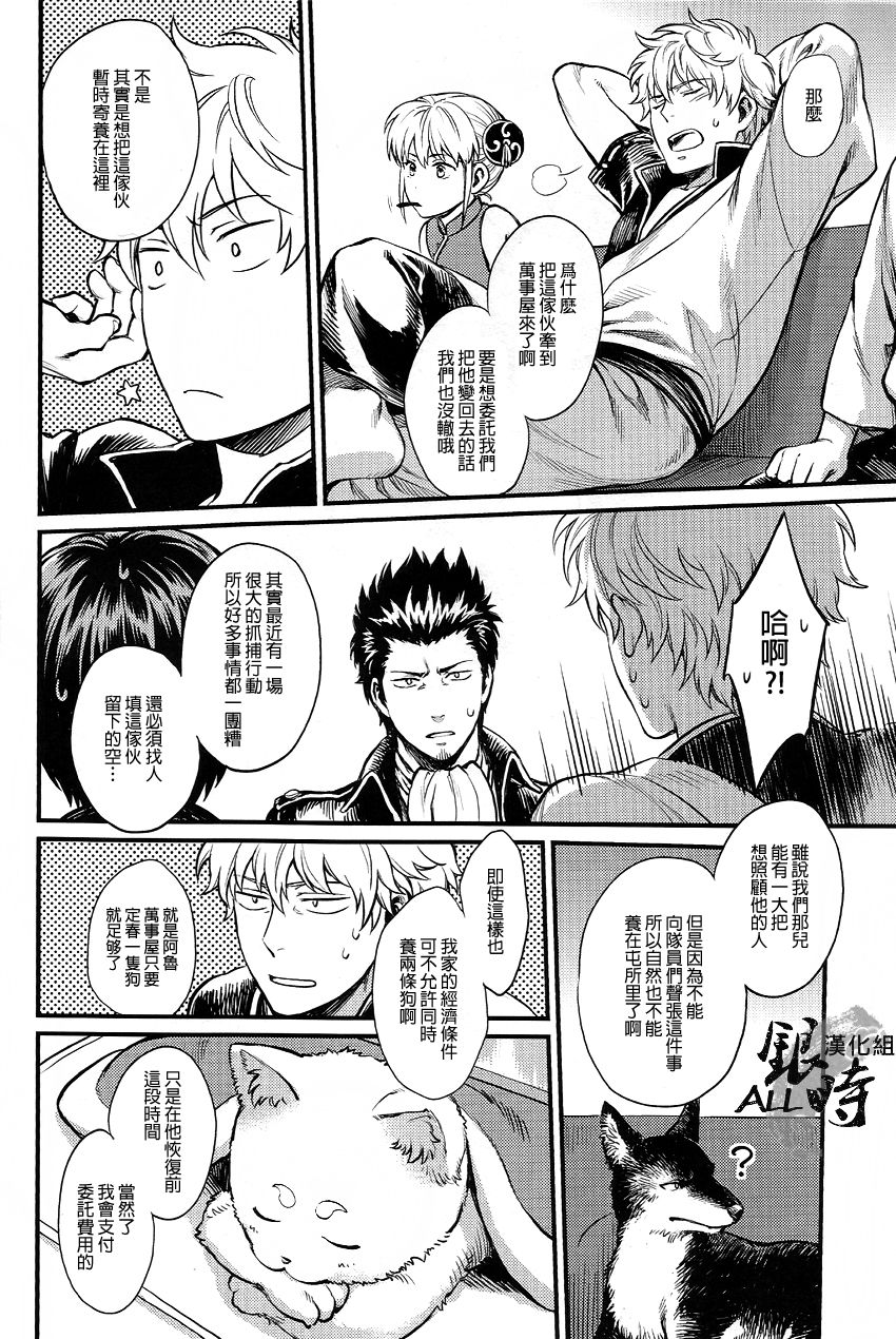 HOW to SPOIL YOUR DOG page 9 full