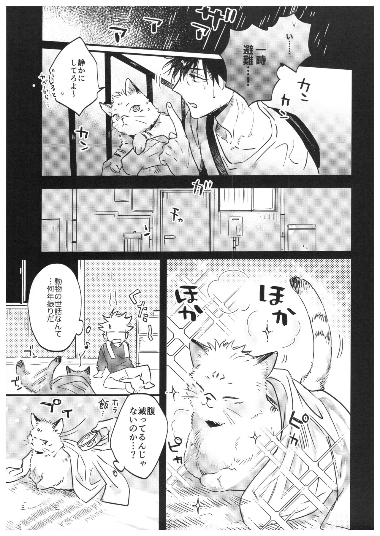 FUSHI TO NEKO page 8 full
