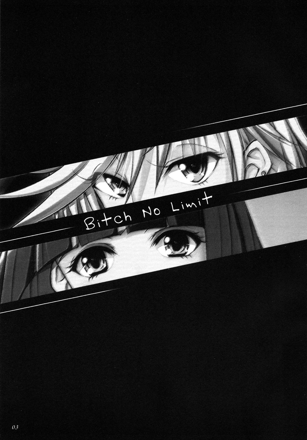 Bitch No Limit page 3 full