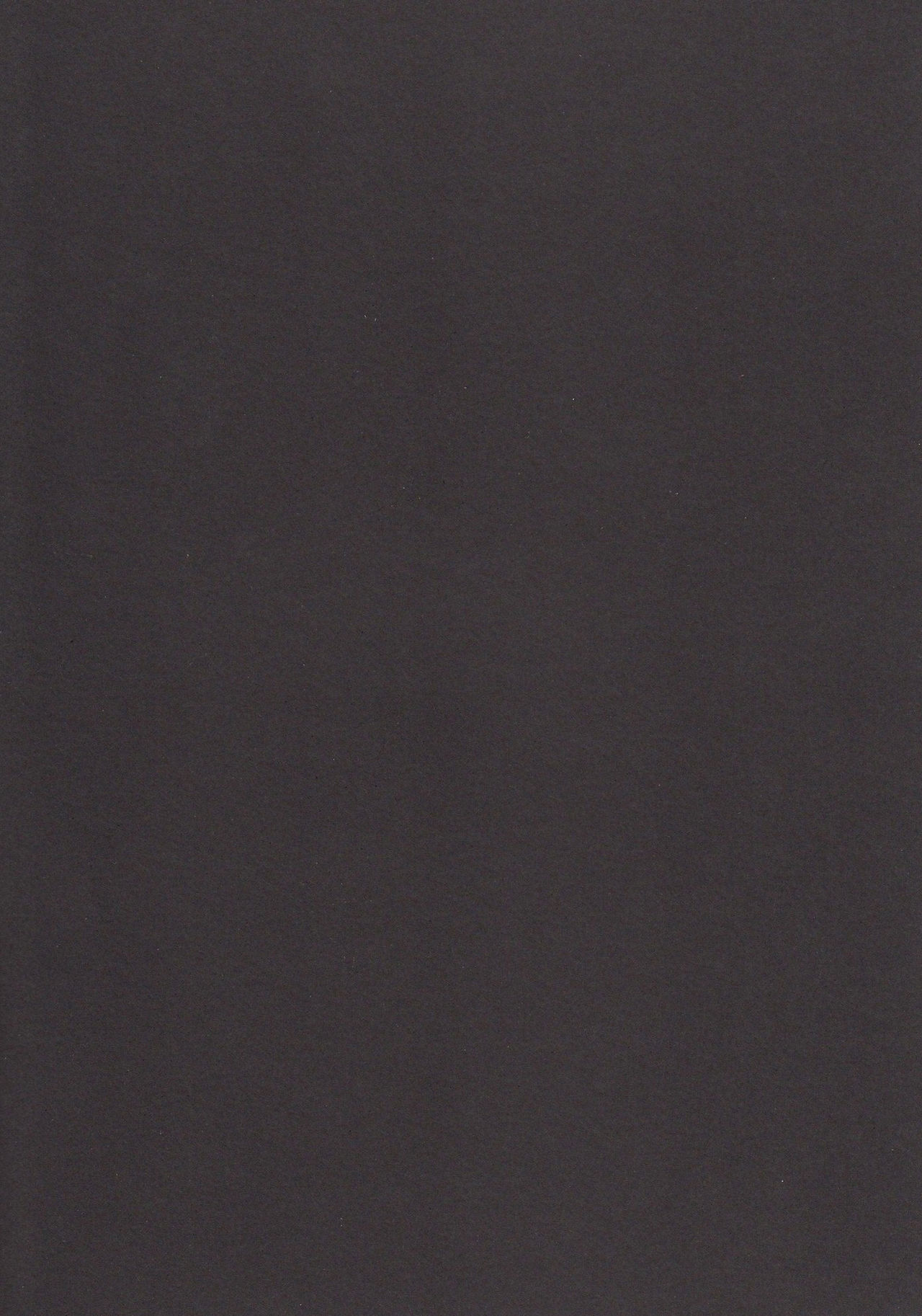 Ousama no Iu Toori! page 3 full