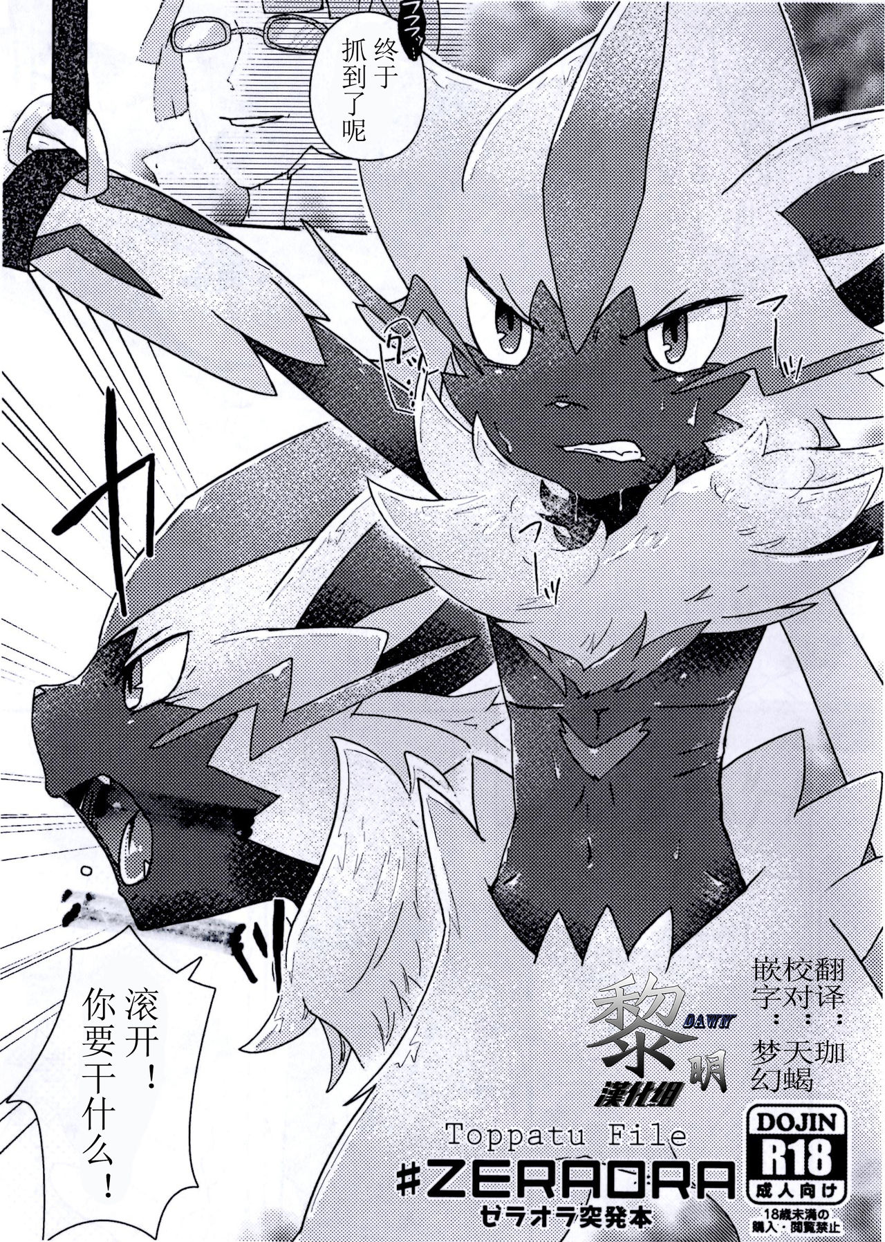 Toppatu File #ZERAORA Toppatsu Zeraora Hon page 1 full