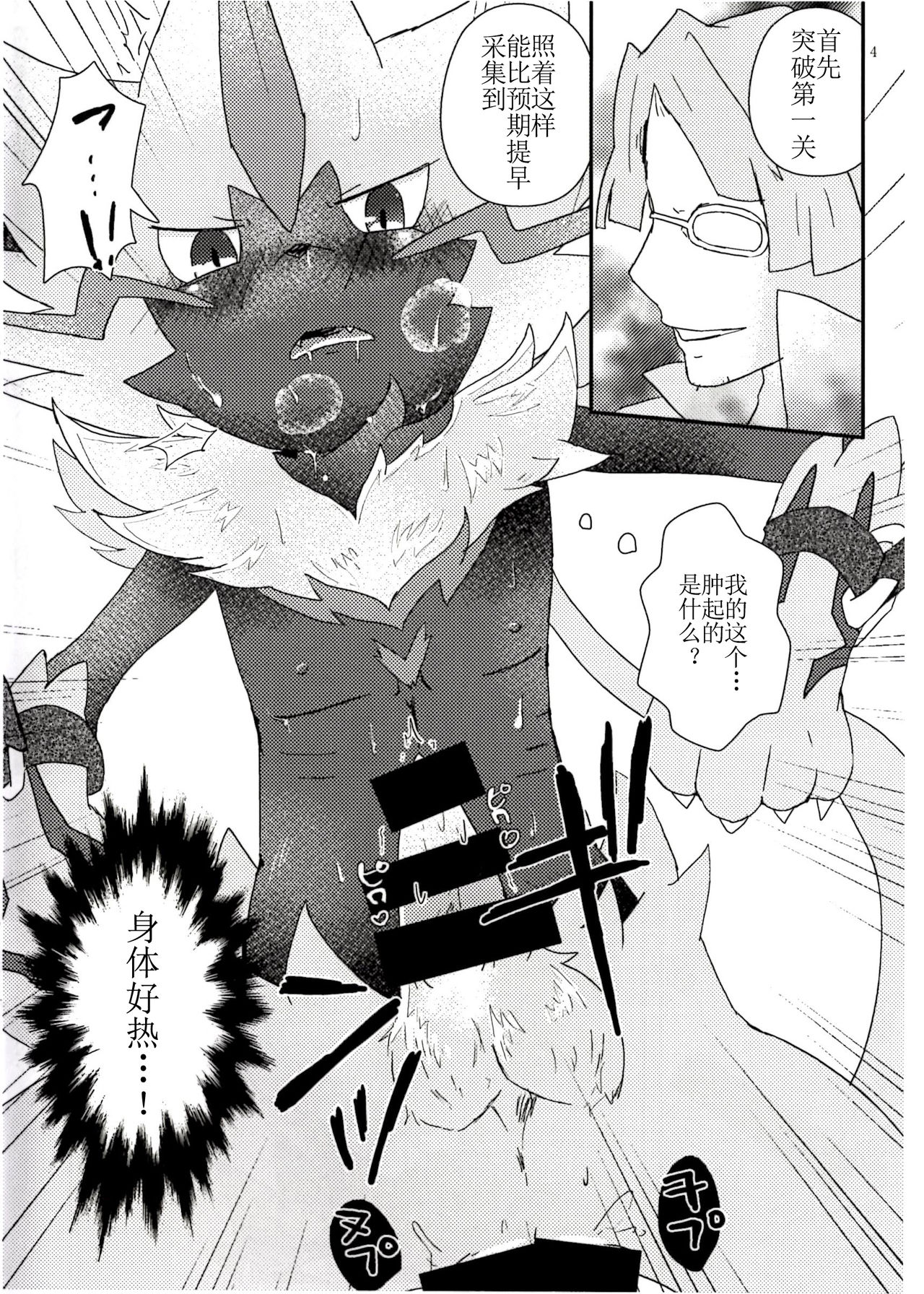 Toppatu File #ZERAORA Toppatsu Zeraora Hon page 4 full