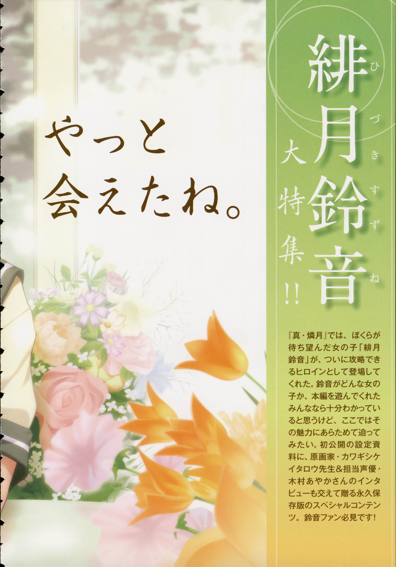 Shin Ringetsu Visual Fanbook page 4 full